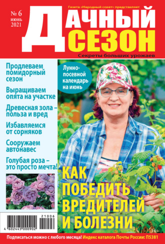 . Дачный сезон №06/2021