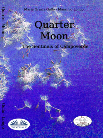 Massimo Longo. Quarter Moon