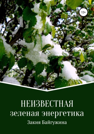 . Неизвестная зеленая энергетика