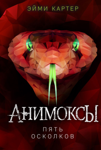 Эйми Картер. Пять Осколков