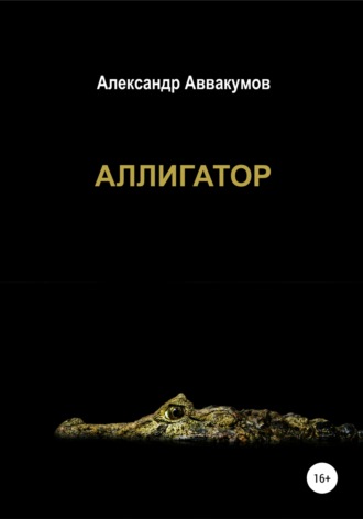 . Аллигатор