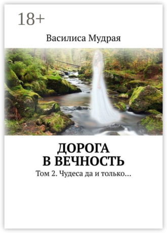 Василиса Мудрая. Дорога в Вечность. Том 2. Чудеса да и только…