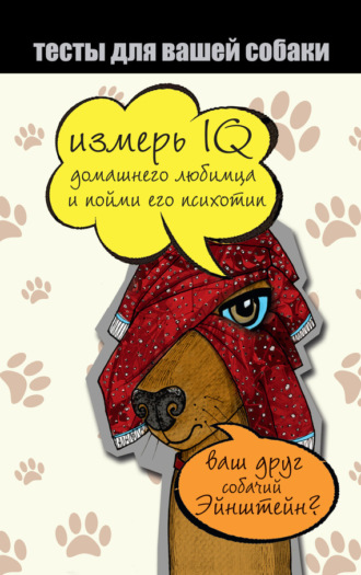 . Тесты для вашей собаки. Измерь IQ домашнего любимца и пойми его психотип