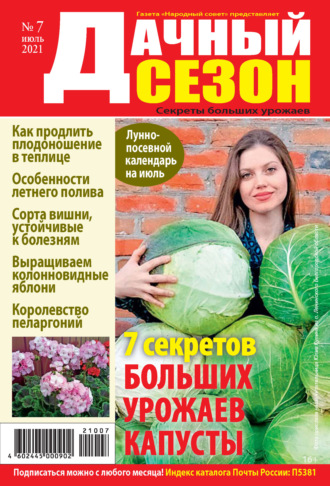 . Дачный сезон №07/2021