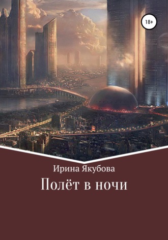 . Полёт в ночи