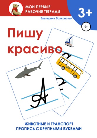 . Пишу красиво. Мои первые рабочие тетради
