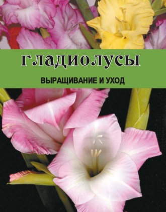 Дарья Резько. Гладиолусы. Выращивание и уход