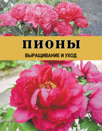 . Пионы. Выращивание и уход