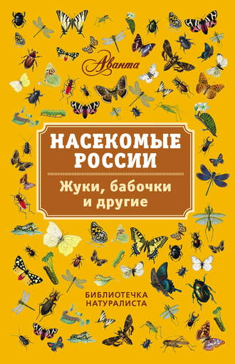 . Насекомые России. Жуки, бабочки и другие