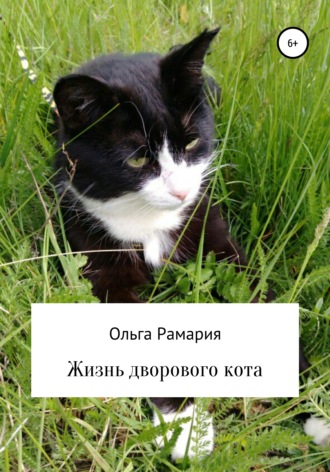 . Жизнь дворового кота