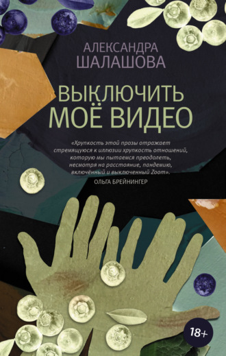 . Выключить моё видео