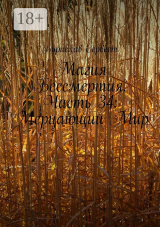 . Магия Бессмертия. Часть 34: Мерцающий Мир
