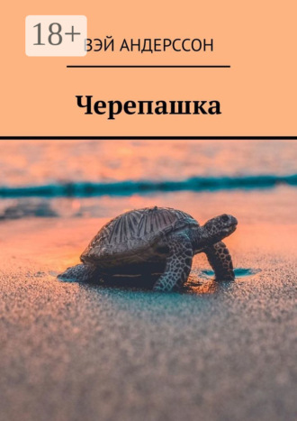 Вэй Андерссон. Черепашка