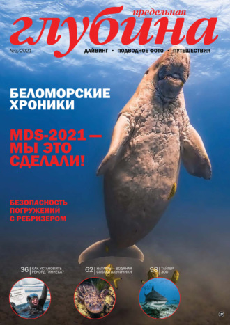 . Предельная Глубина №3/2021