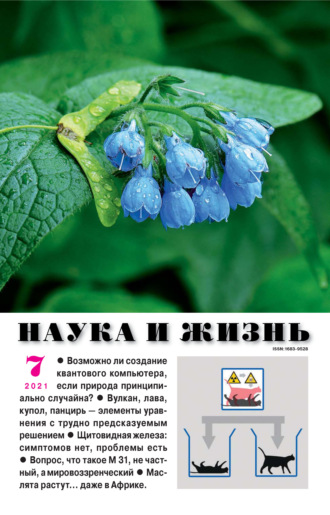 . Наука и жизнь №07/2021