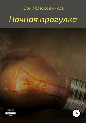 Юрий Владимирович Смородников. Ночная прогулка