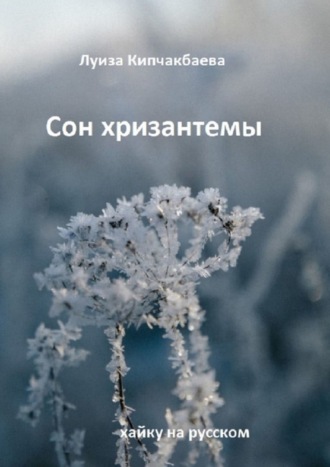 . Сон хризантемы. Хайку на русском