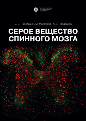 . Серое вещество спинного мозга