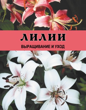 . Лилии. Выращивание и уход