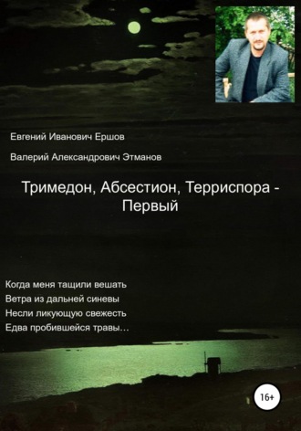 . Тримедон, Абсестион, Терриспора – Первый