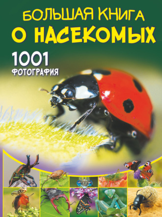 . Большая книга о насекомых. 1001 фотография