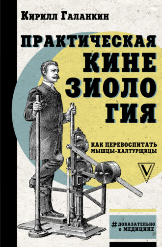 . Практическая кинезиология. Как перевоспитать мышцы-халтурщицы