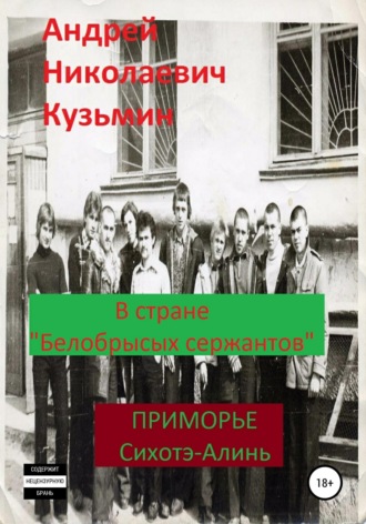. В стране «белобрысых сержантов»
