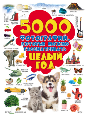 . 5000 фотографий, которые можно рассматривать целый год
