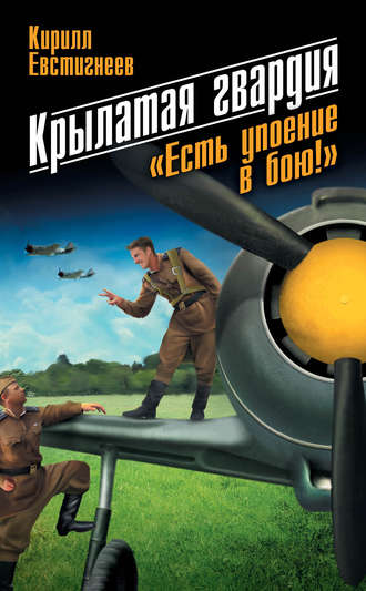 . Крылатая гвардия. «Есть упоение в бою!»