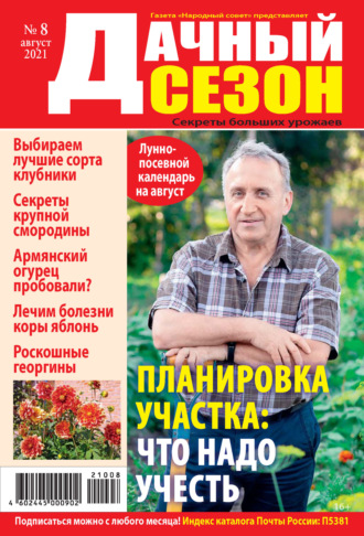 . Дачный сезон №08/2021