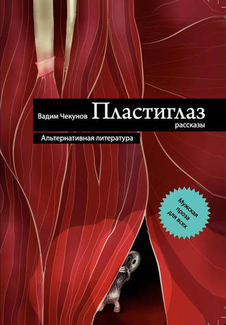 Вадим Чекунов. Пластиглаз (сборник)
