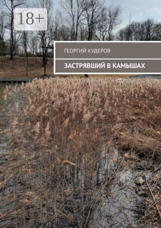 . Застрявший в камышах