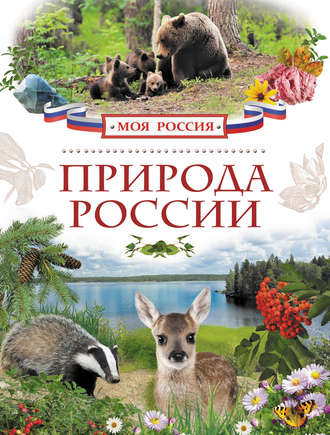 Ирина Рысакова. Природа России