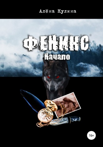 . Феникс. Начало
