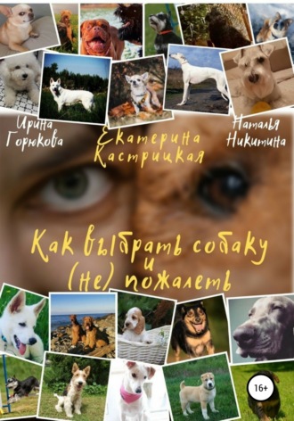 . Как выбрать собаку и (не) пожалеть