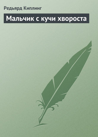 . Мальчик с кучи хвороста