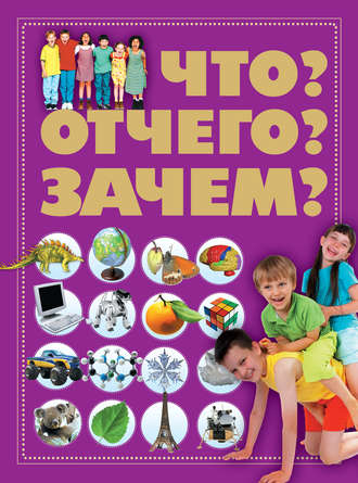 . Что? Отчего? Зачем?