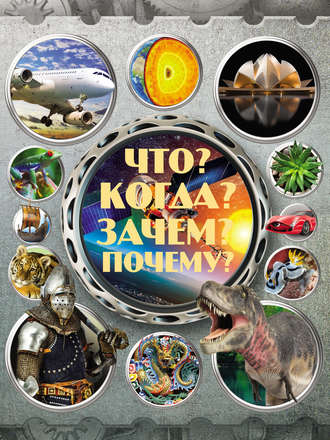 . Что? Когда? Зачем? Почему?