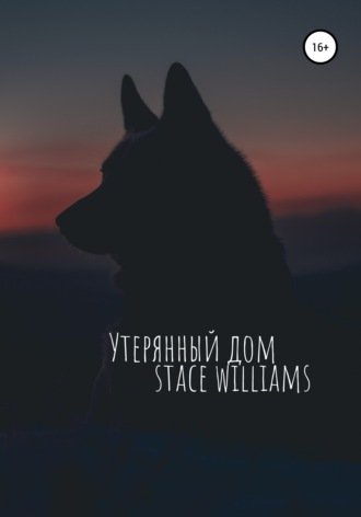 Stace Williams. Утерянный дом