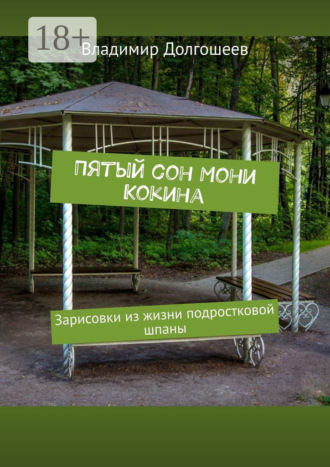 Владимир Долгошеев. Пятый сон Мони Кокина. Зарисовки из жизни подростковой шпаны