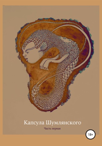 Полина Акулова. Капсула Шумлянского