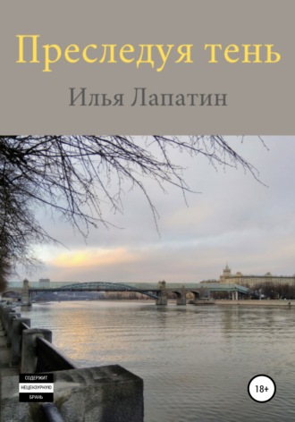 Илья Лапатин. Преследуя тень