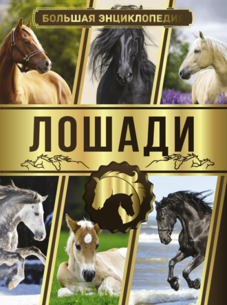 . Большая энциклопедия. Лошади