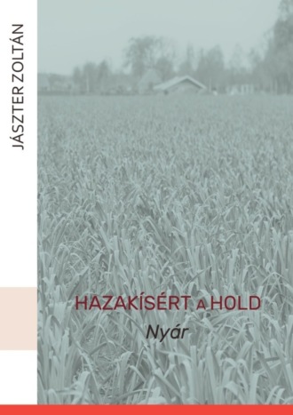 Zoltán Jászter. Hazakísért a Hold. Nyár