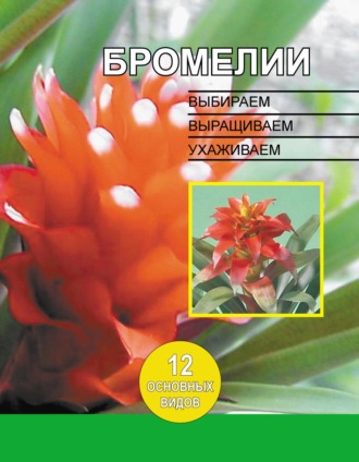 . Бромелии. Выбираем, выращиваем, ухаживаем