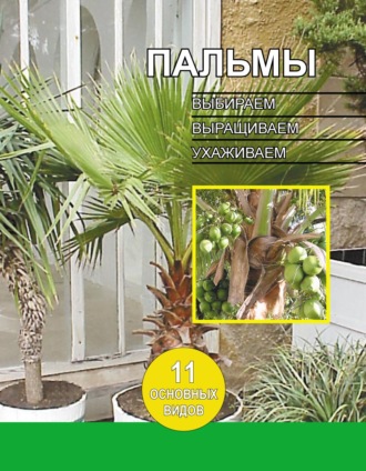 . Пальмы. Выбираем, выращиваем, ухаживаем