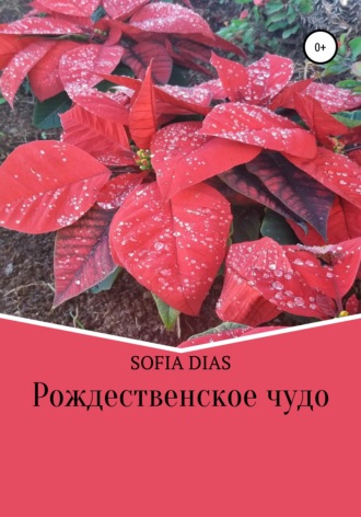 . Рождественское Чудо