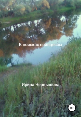 . В поисках принцессы