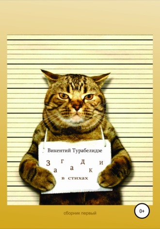 Викентий Турабелидзе. Загадки в стихах. Сборник первый