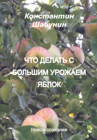 . Что делать с большим урожаем яблок?